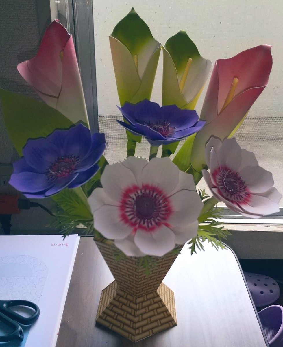 Twoucan ドラセナ の注目ツイート イラスト マンガ コスプレ モデル