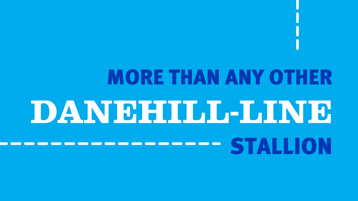 DarleyAus's tweet photo. #ExceedAndExcel 💪

➡ 1573 winner globally 🌎
➡ Only 55 behind Danehill himself 
➡ More than any other Danehill-line stallion 

Find out more about #ExceedAndExcel ➡ https://t.co/MzOqC4fWEY https://t.co/CDJLT92KfI