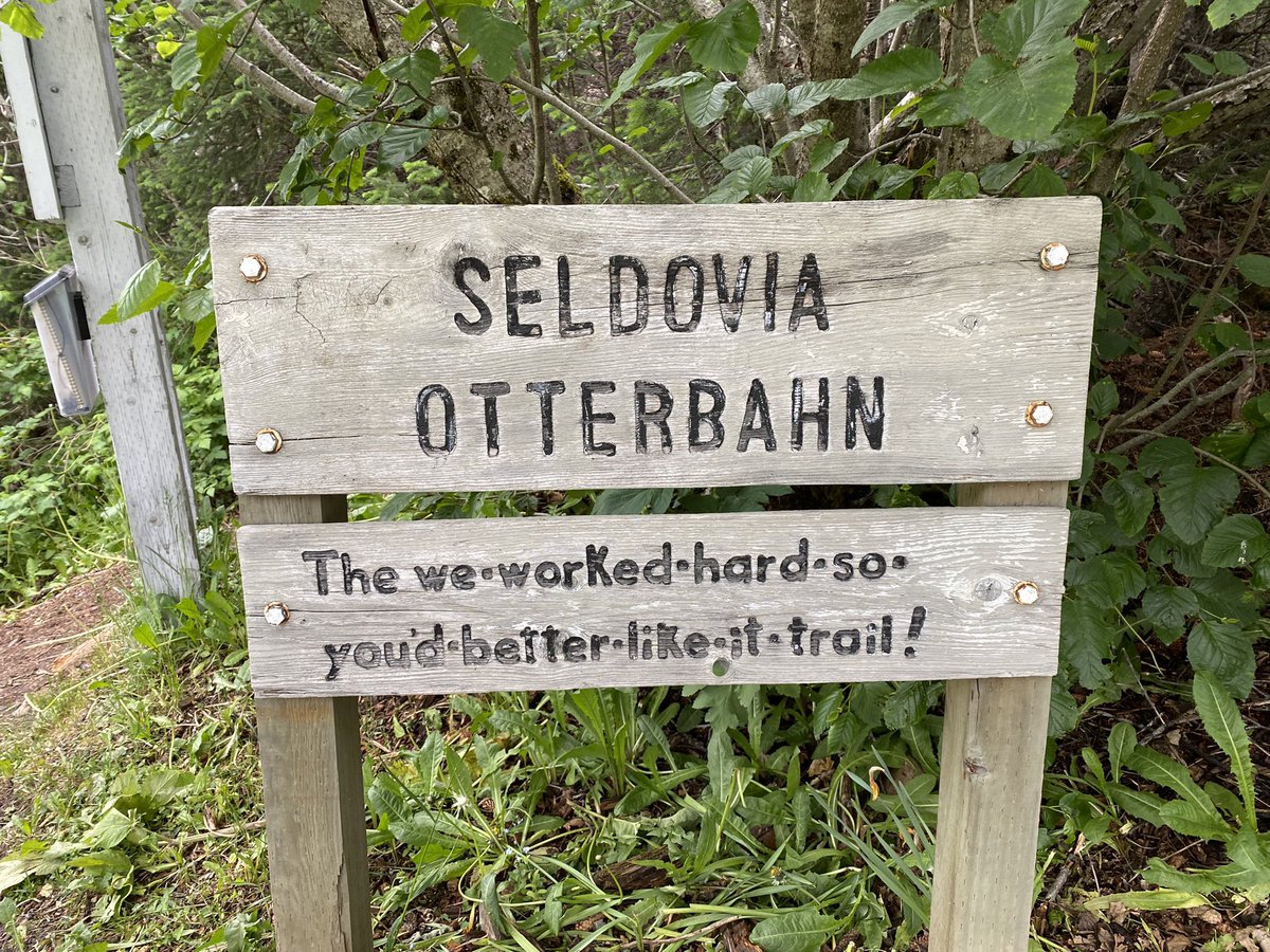 here_in_alaska's tweet photo. And don’t you forget it! #Alaska #seldovia #hiking #trailhead #honesty #trailmarker #thiswaytothebeach https://t.co/OTVd7tQzR3