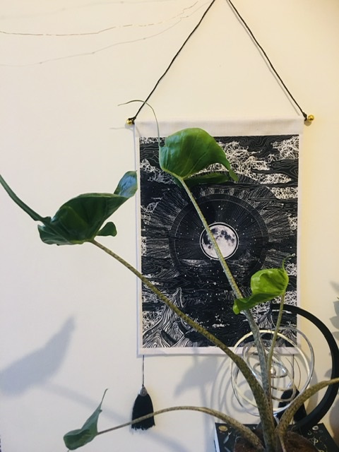 ChildOfNowhere's tweet photo. @Mr_S_Crane binder and long trousers and at least 3/4 sleeves, bc summer is amplified dysphoria time and it’s never been worse than this year

https://t.co/Bn7vEfZkvd

have a pic of one of my plants 🌌💚 https://t.co/lZxnom8uX6