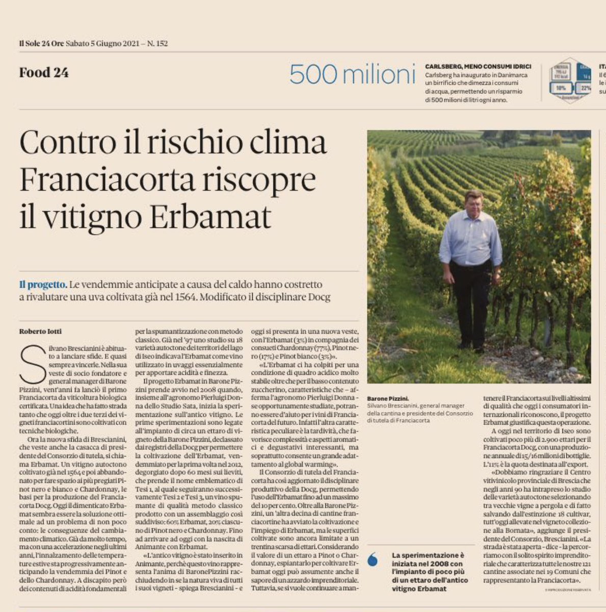 PizziniBlog's tweet image. "Contro il rischio clima, Franciacorta riscopre il vitigno Erbamat"

#erbamat #animante #baronepizzini #franciacorta #biologico  #sostenibilità #vinoitaliano #vinobiologico