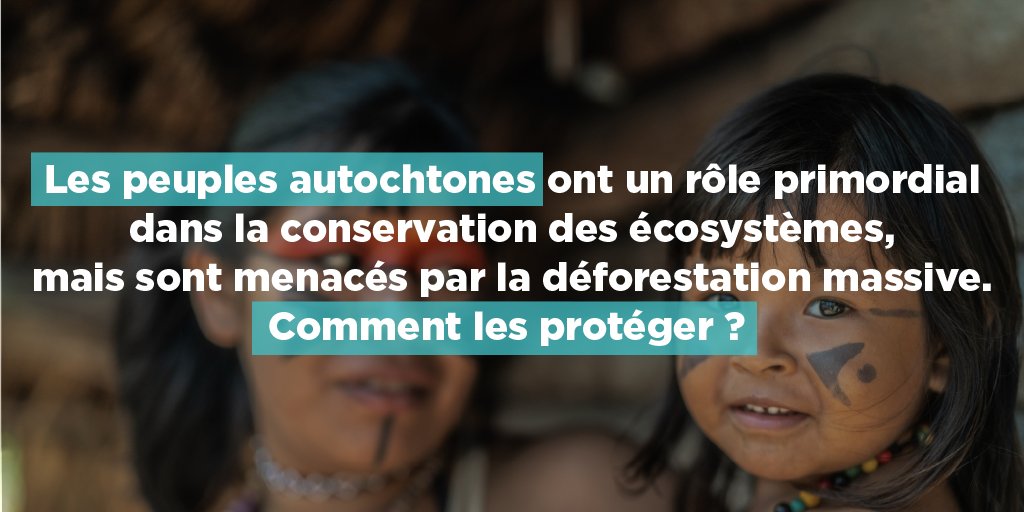 La #déforestation engendrée pour accroître les terres agricoles menace les peuples autochtones. Que propose-t-on pour protéger les meilleurs gardiens des forêts ? alliance-preservation-forets.org/app/uploads/20…
