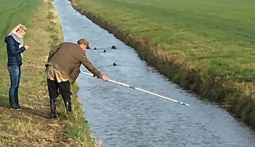 Life MICA tweet media