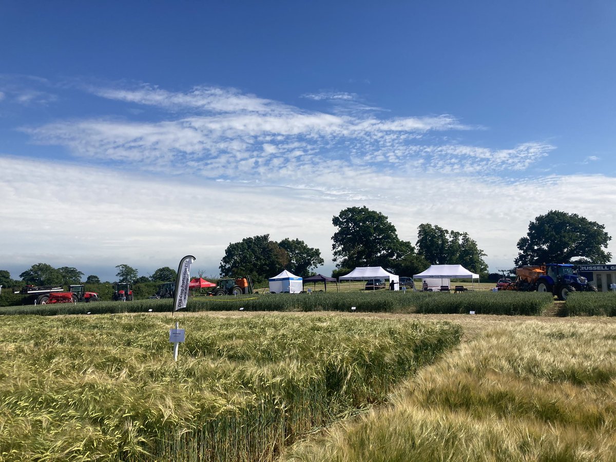 DKB Crop Protection tweet media