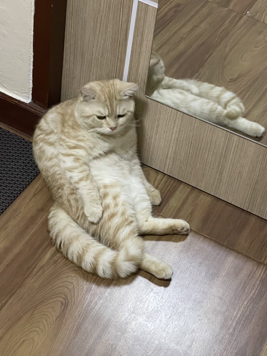 บีมกับน้องๆ tweet media