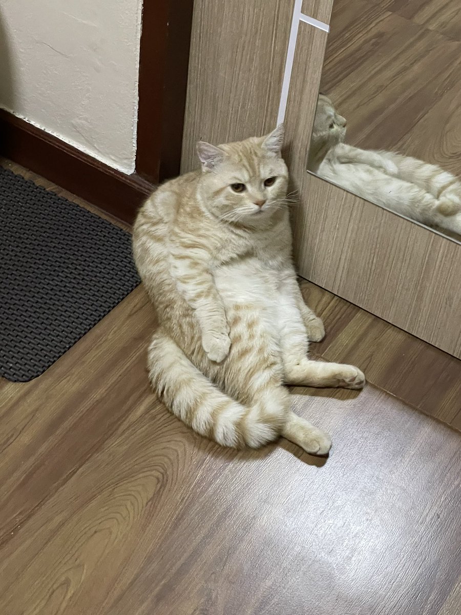 บีมกับน้องๆ tweet media