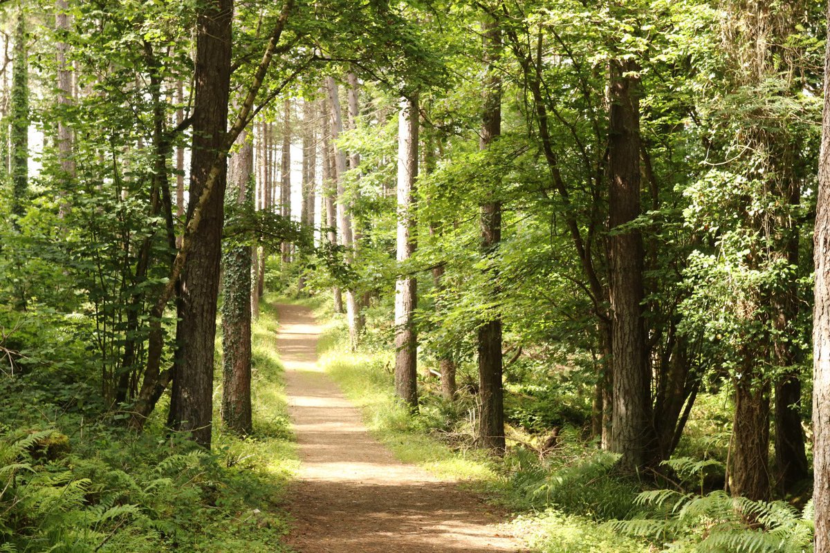 1/2 Experience the joy of Gaelic forests, rivers, awe-inspiring mountains and majestic cliff walks this summer. 

There is no better way to recharge your spirit than by immersing yourself in the scenic beauty and distant wildness that the Irish and Scottish landscape has to offer