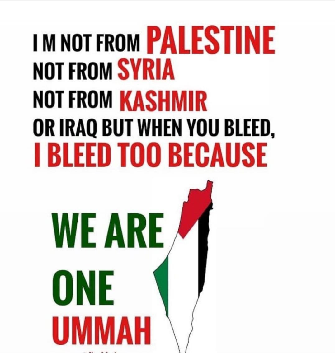 DiraniAbz's tweet photo. #FreePalestine https://t.co/3v2EkNfZma