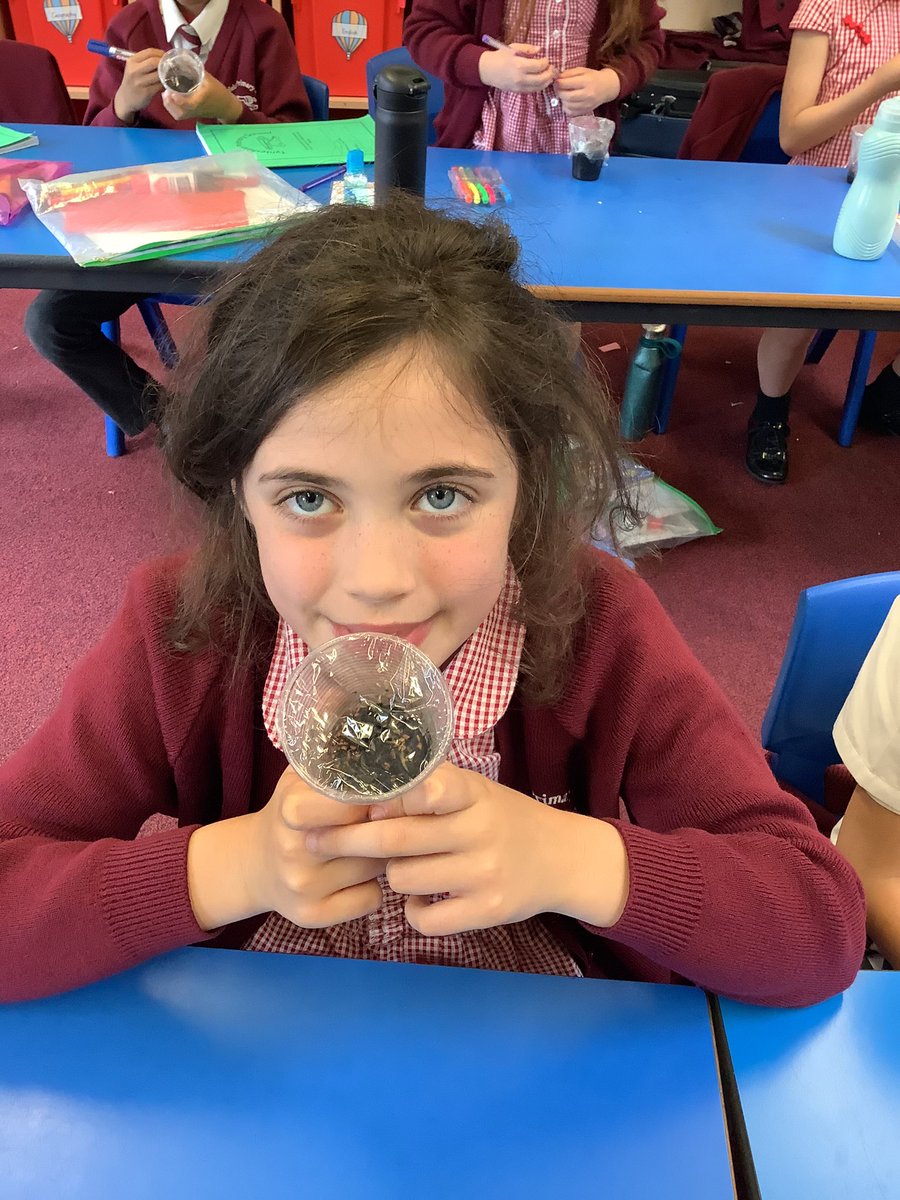 TyntesfieldLC's tweet photo. We made mini water worlds in science to help us learn about the role of evaporation and condensation in the water cycle! https://t.co/PvcotXOzny