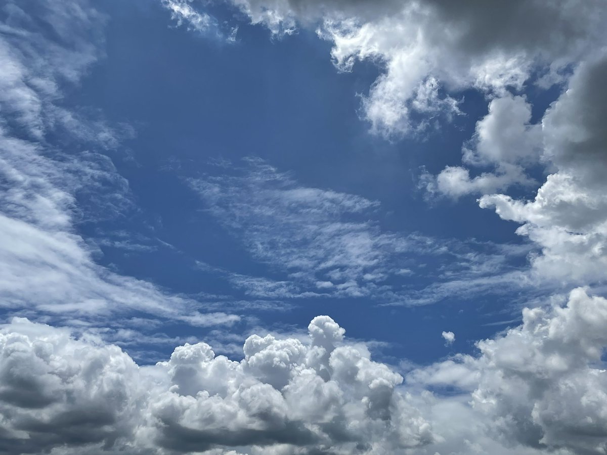 みんなの 海老蔵 口コミ 評判 食べたいランチ 夜ごはんがきっと見つかる ナウティスイーツ