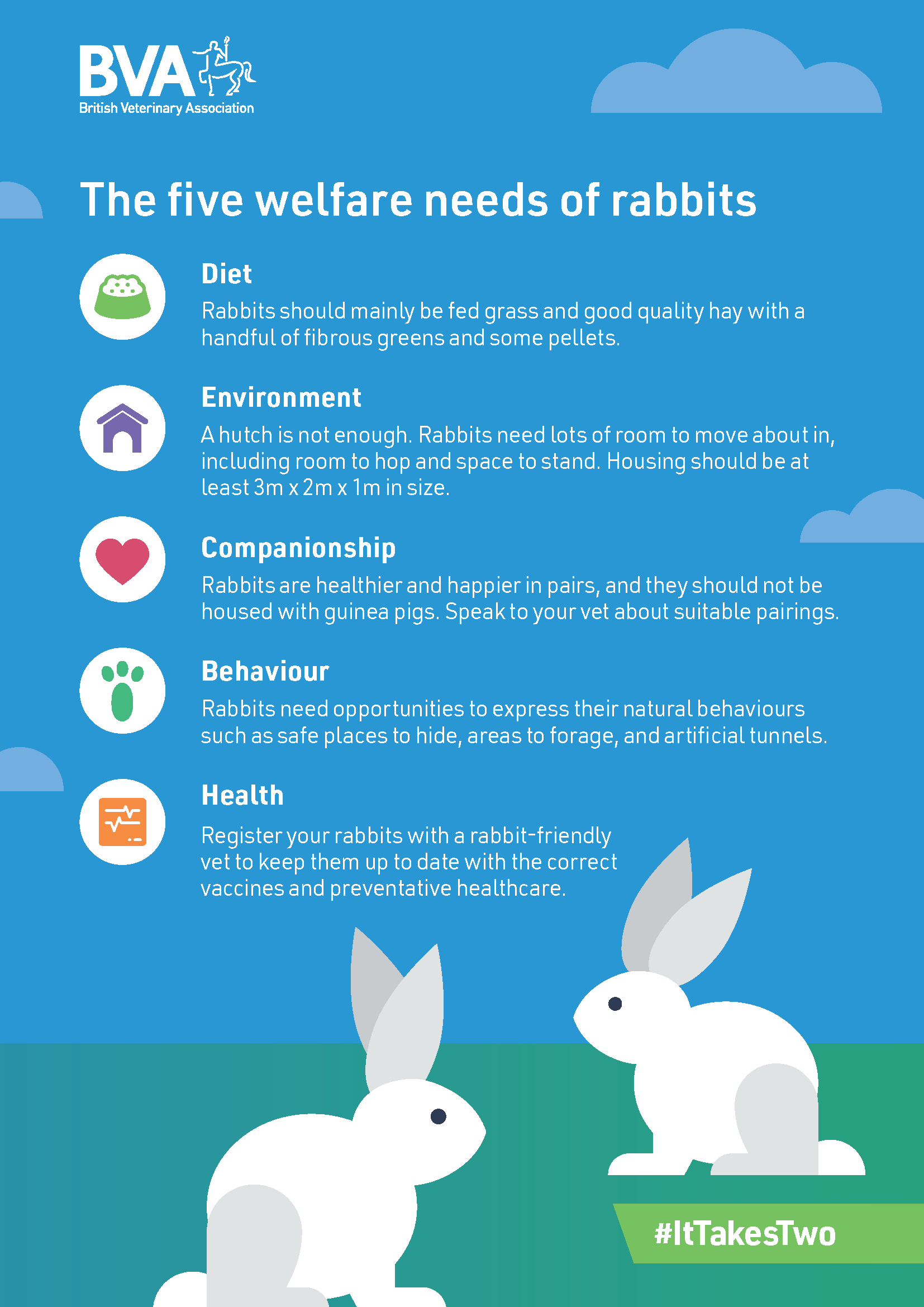 BritishVets on Twitter "DidYouKnow Pet rabbits should be housed in