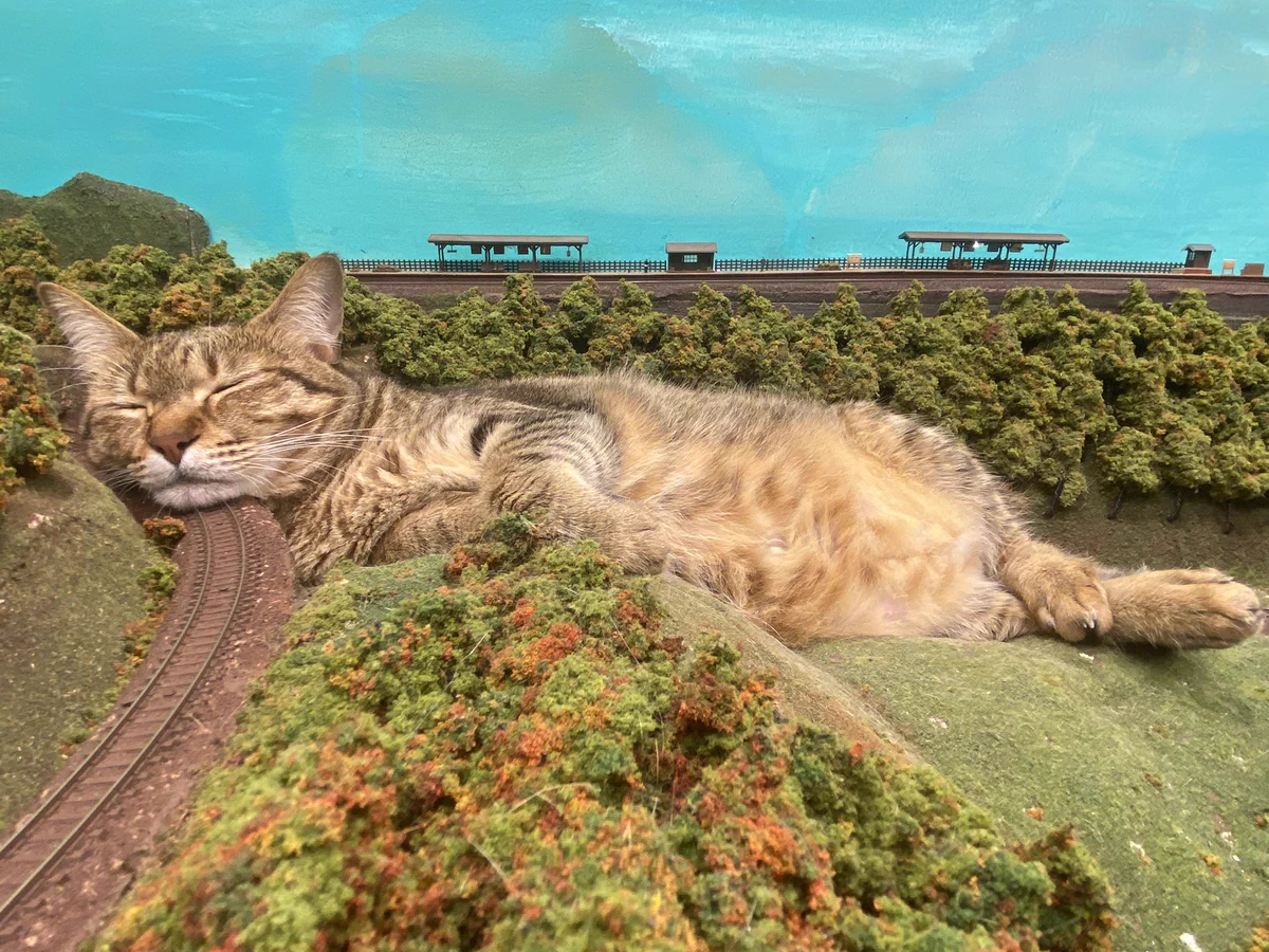 ジオラマに猫！疲れた心が癒される