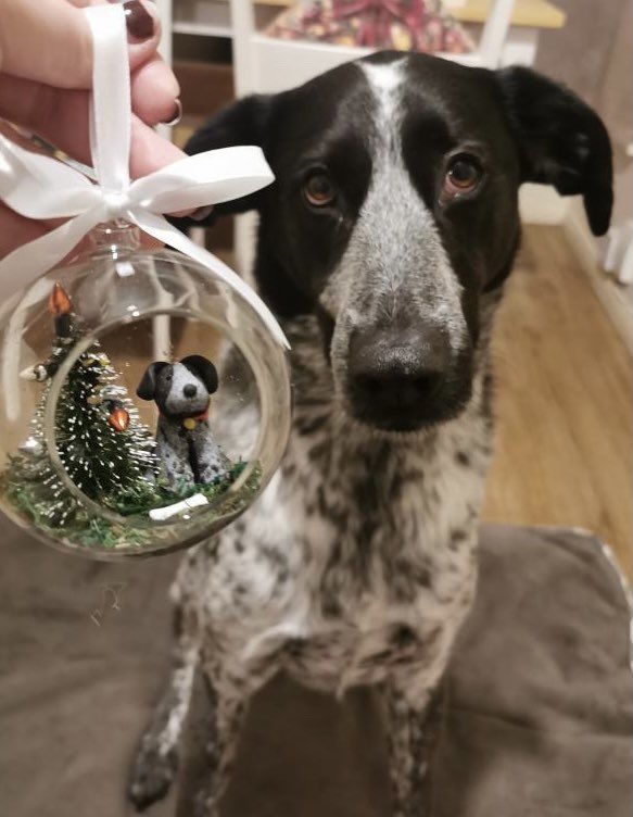 BethEgg's tweet photo. *Christmas Orders Open*
With 6 months to go until Christmas I am opening my orders. If you would like your very own bespoke made pet bauble pls get in touch. Limited amount available. Please spread the word with an RT. Very much appreciated. Thank you. 💕🐶🐱🐭🐾 https://t.co/fc6RlHbVHs
