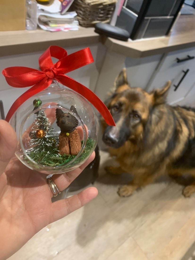 BethEgg's tweet photo. *Christmas Orders Open*
With 6 months to go until Christmas I am opening my orders. If you would like your very own bespoke made pet bauble pls get in touch. Limited amount available. Please spread the word with an RT. Very much appreciated. Thank you. 💕🐶🐱🐭🐾 https://t.co/fc6RlHbVHs