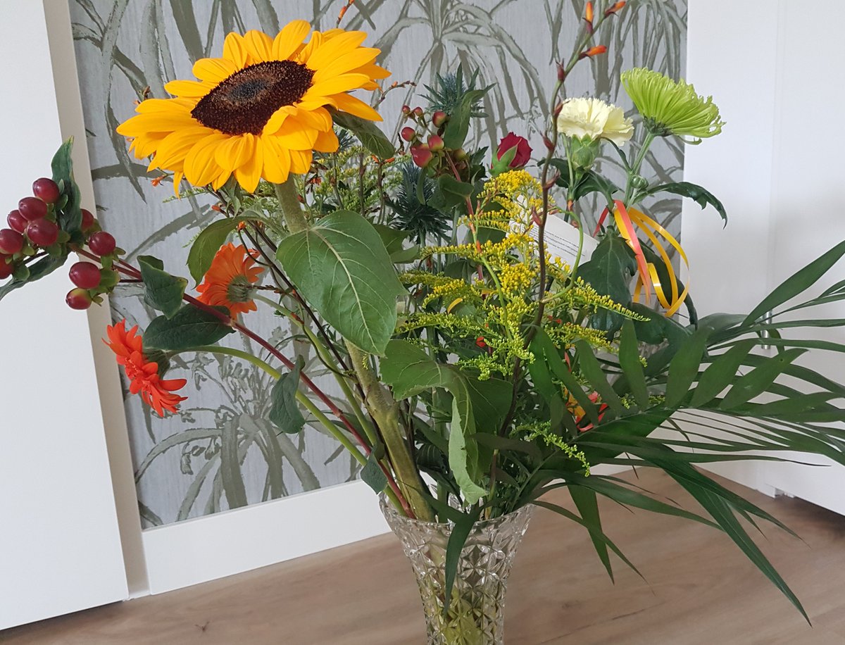 gemmaveerman tweet picture