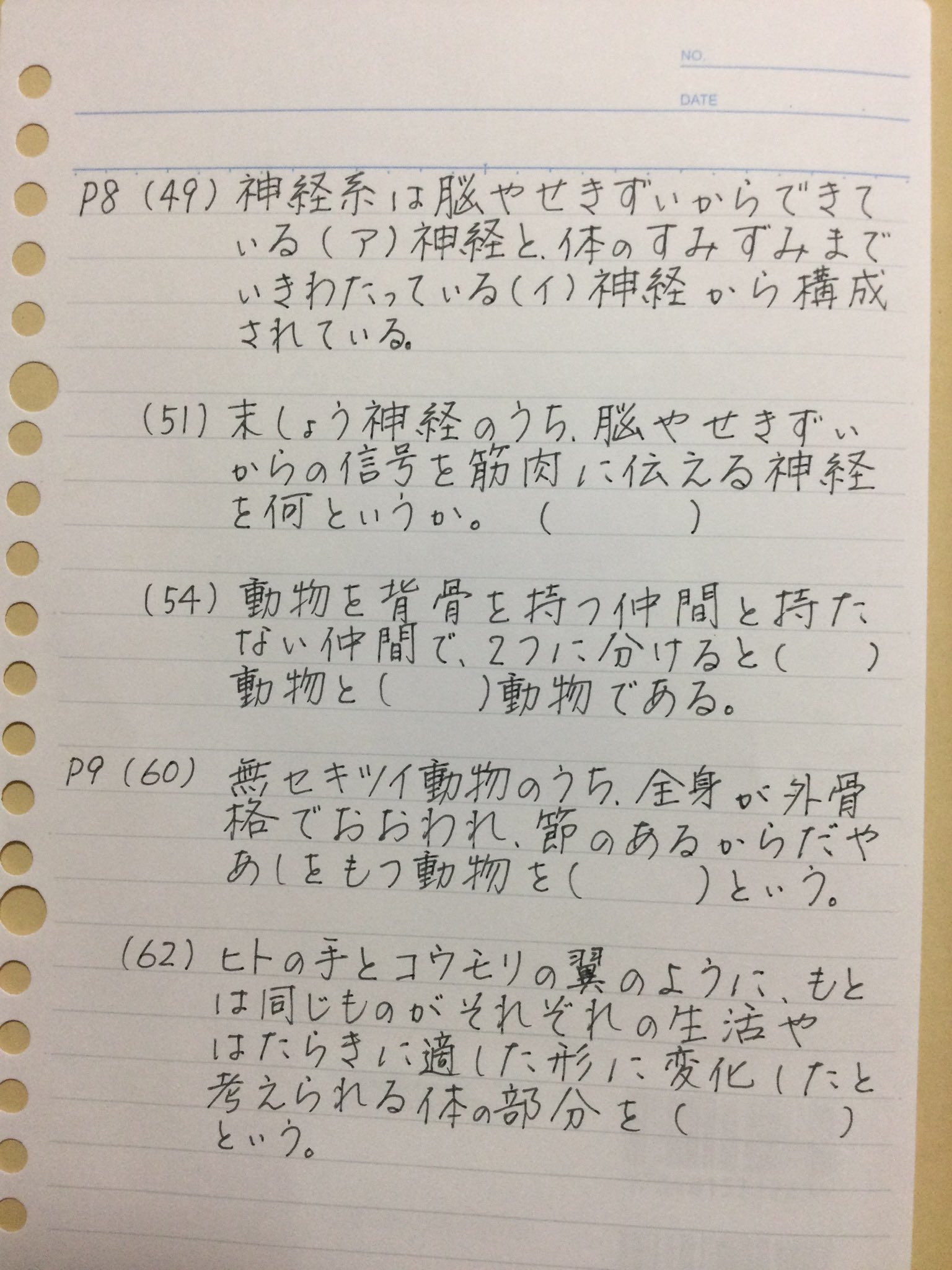 Miro トリプルワーカー 周りの人が綺麗な字を書いてたら 子どもは真似して綺麗な字 を書こうとする だから 私は手書きの問題集にこだわりたいんだよね 家庭教師 こだわる もっと綺麗な字を書きたい 手書き T Co 84oyc72imm Twitter
