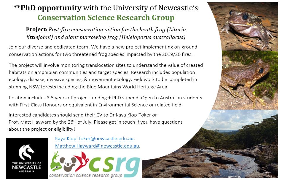 Exciting new #PhD opportunity available in our research group. Work on a direct #frog #conservation project with awesome people, in awesome places, and with even more awesome species.
Please share and retweet!
#AcademicTwitter <a href="/UON_research/">Uni Newcastle Research</a> @ASG_IUCN