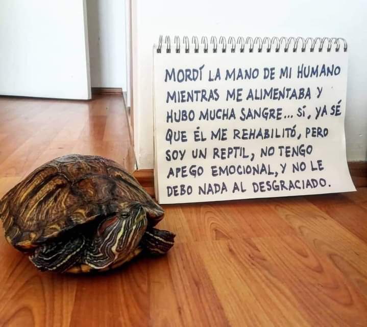 EnsedeCiencia's tweet photo. https://t.co/AqnIjaCzOg