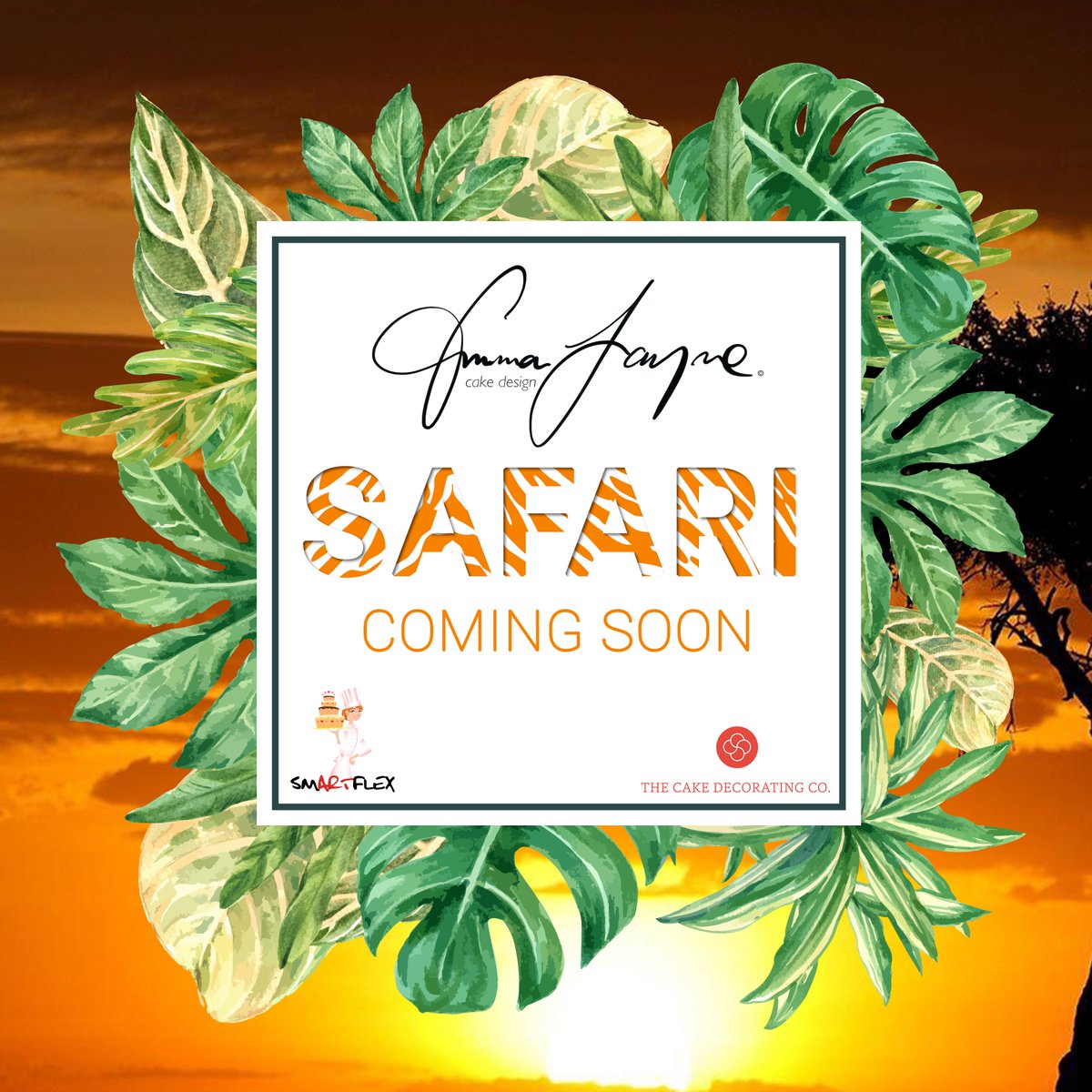 Keep your eyes peeled exciting new classes coming soon that your going to love #Safari #cake <a href="/CakeDecorateCo/">TheCakeDecoratingCo</a> #smartflex