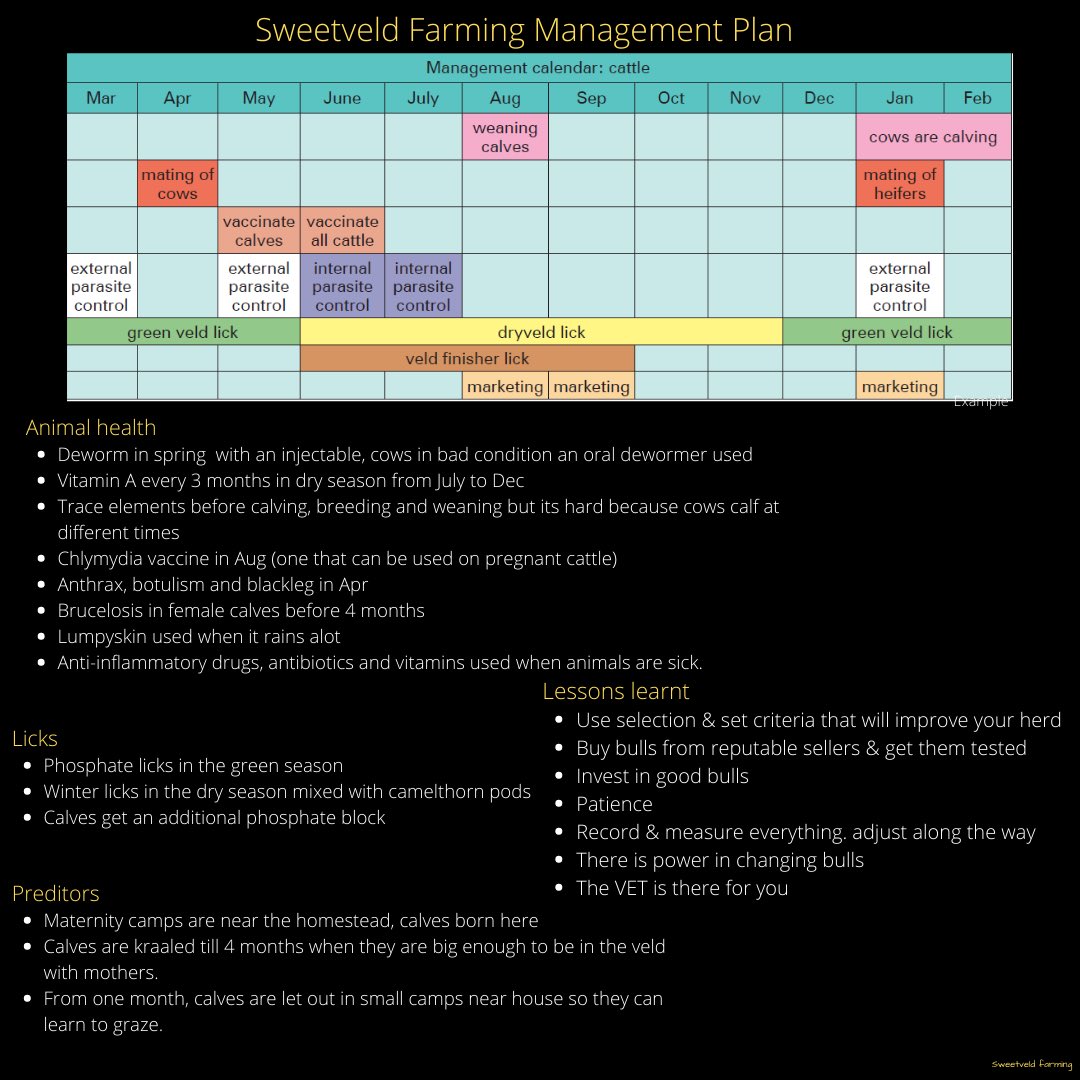 sweetveld's tweet photo. Cattle management plan . How does yours look. Please share . #youngandfarming #sweetveld #agripreneur #cattle https://t.co/aNr6OK2QOr