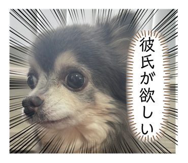屑美 クズでもたのしくいきてます Kuzumisan Twitter