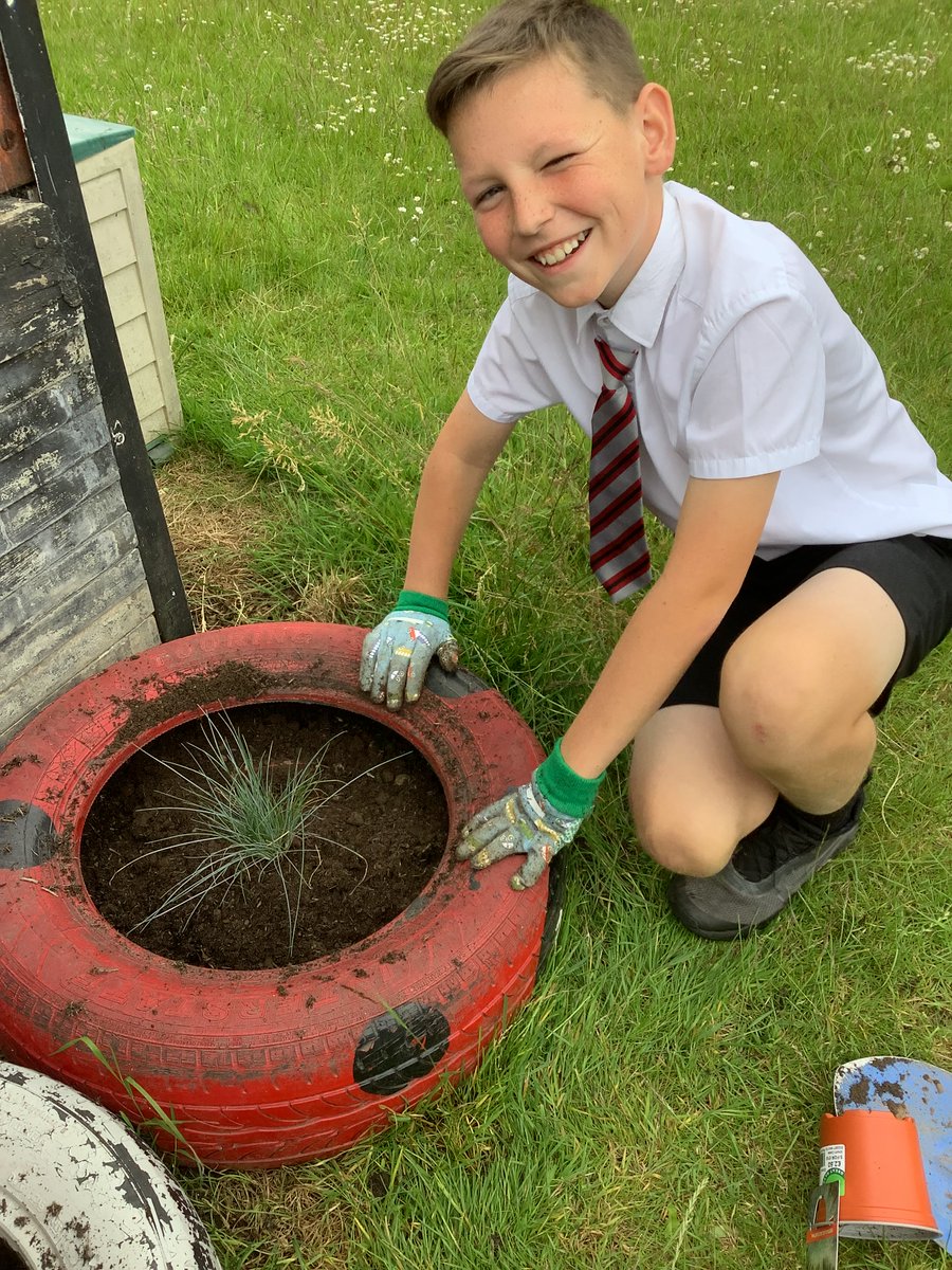 wooltonprimary's tweet photo. Y6 planting lavender and ornamental grass in our garden #wpsfriendship #wpsmakingmemories π± https://t.co/lNeFJlL5rv