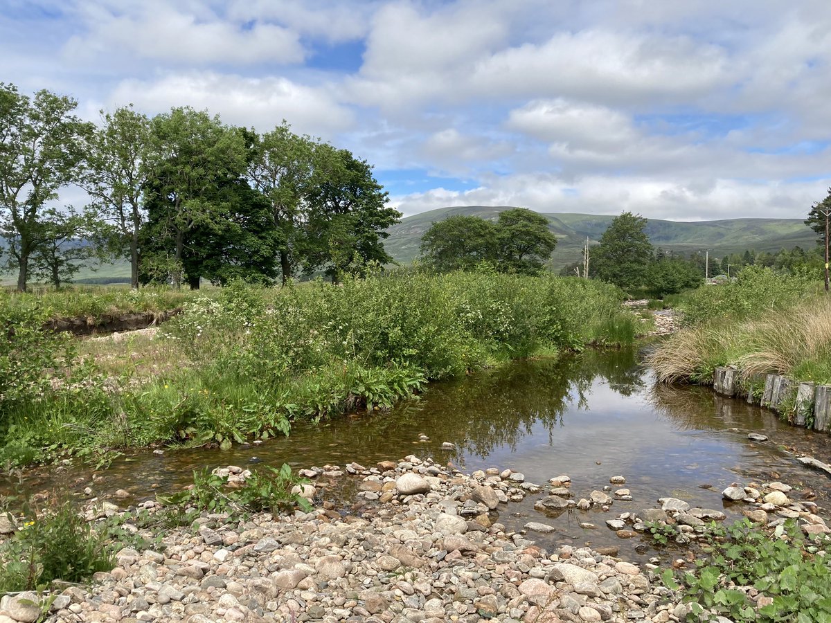 The #rottalburn is looking pretty splendid at the moment! 10 yrs on from its original restoration… Check out our latest clip on our #wildsouthesk #instagram …..#riverrestoration #biodiversity #climatechange #NFM #solutions #Angus