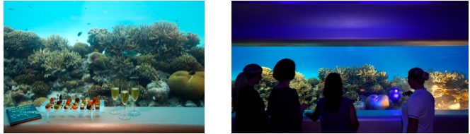 FnBUpdate's tweet photo. HUVAFEN FUSHI LAUNCHES UNDERWATER ‘SPAQUARIUM’ @HuvafenMaldives - https://t.co/0DwdNOm8EB https://t.co/vJOM089Aoj