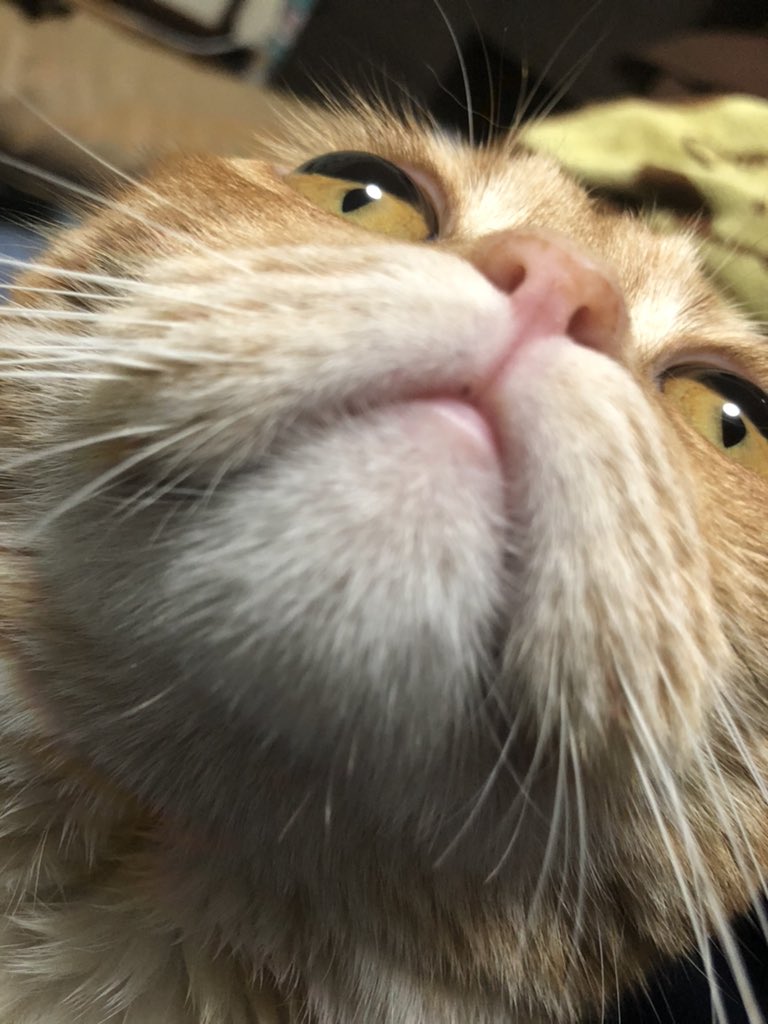 Nzjqsbtuj7n6lm Nzjqsbtuj7n6lm