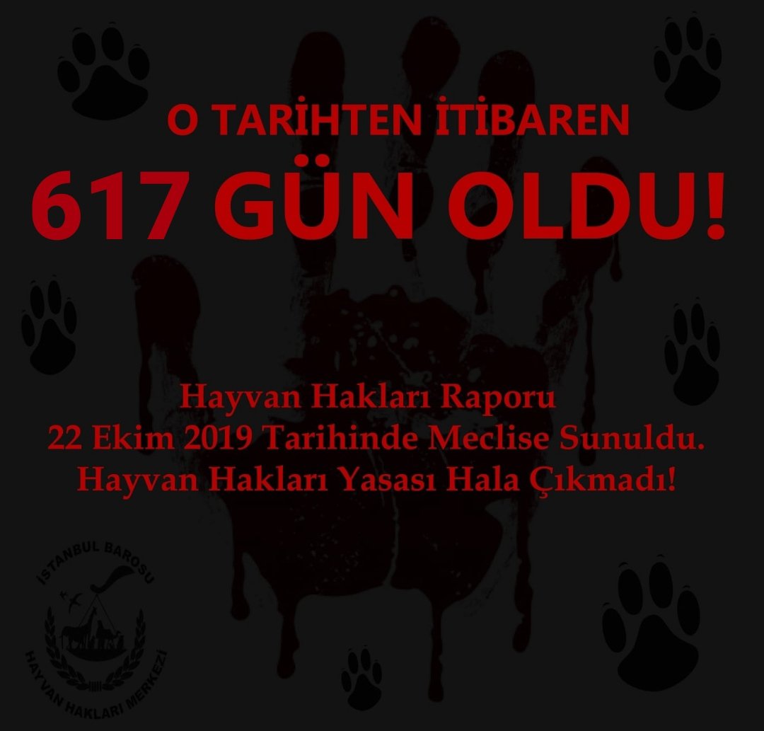 #KaçGünOldu ❓

TBMM #HayvanHakları Araştırma Komisyonunun Raporu, yayınlanalı 617 GÜN oldu!📌 

Ve biz hala Hayvan Hakları Yasasının çıkarılmasını bekliyoruz!📌

(Yasa çıkana kadar "Kaç gün oldu?" paylaşımlarımız, her gün devam edecektir. Paylaşım desteğinizi rica ediyoruz. 🙏🏾)