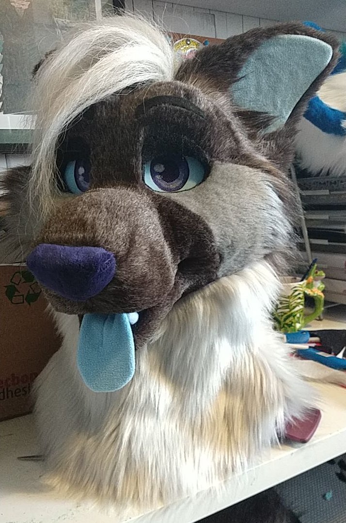BlueFoxFursuits's tweet photo. once we were set up and moved, these lovely critters were created as well c:

we couldn't always get nice shots in our photo area, but this nice bunch are a mix of UK and US suiters, so you might see more of our fluffs in the states now! https://t.co/d3xUjyenCu