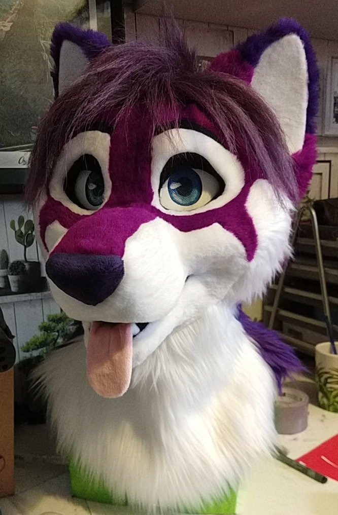 BlueFoxFursuits's tweet photo. we kept going and smashed a lot of our usual suit quotas (not including a few we can't post yet, we finished 14 suits in the first half of the year! thats a new record or us) https://t.co/NJWuttnuWn