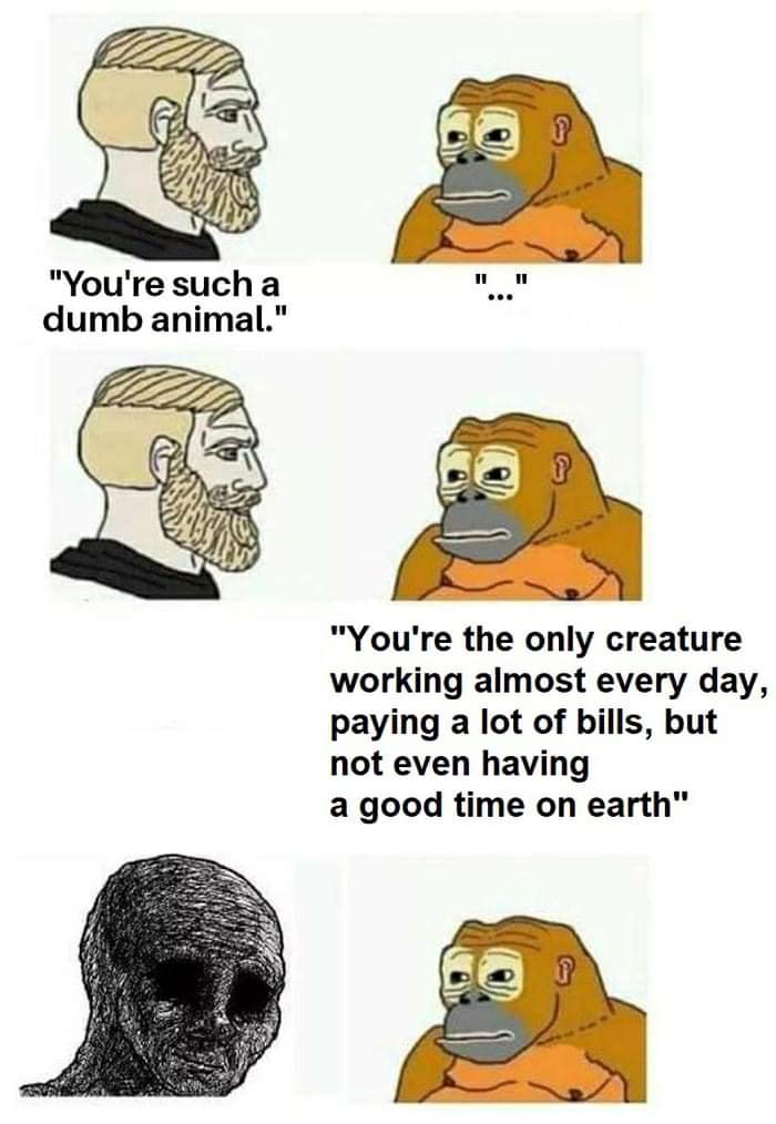 Музыкальные обложки альбомов hailee steinfeld. Joe dolan - you're such a good looking woman. Susan мем. You re such. You re such.