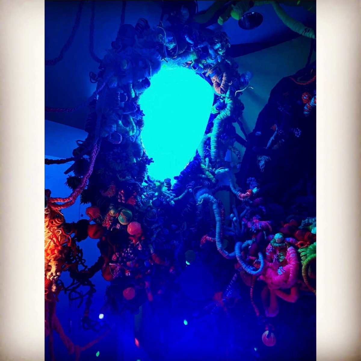 mudwok's tweet photo. Saw some interesting sculptures at the Brisbane Botanical Gardens.  May have not understood some of them but still interesting to look at :) #brisbane #australia #artists #sculptures #colour https://t.co/xFdJDG2596