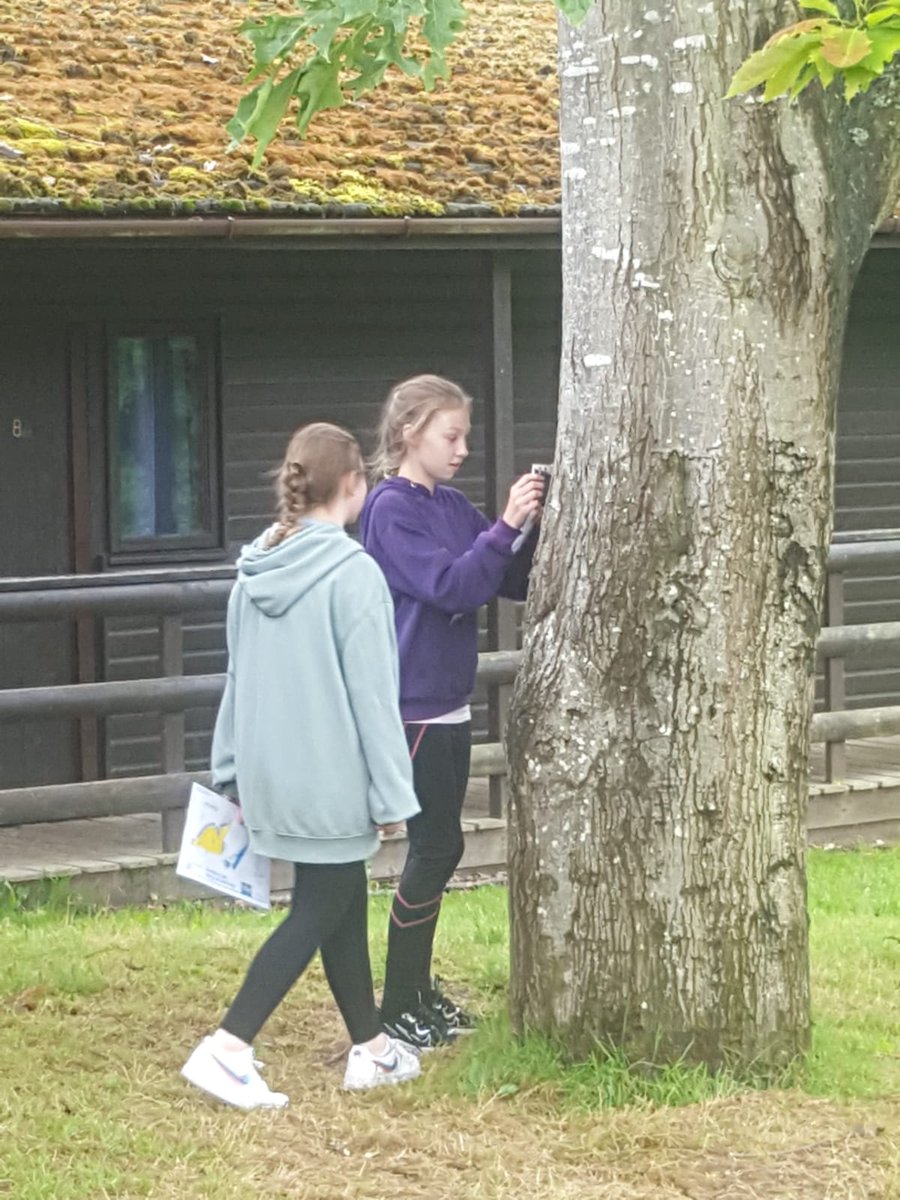 Group 4 orienteering! <a href="/cherrysomervil1/">cherry@somerville primary</a>  <a href="/elmSomervilleP1/">elm@Somerville Primary</a>