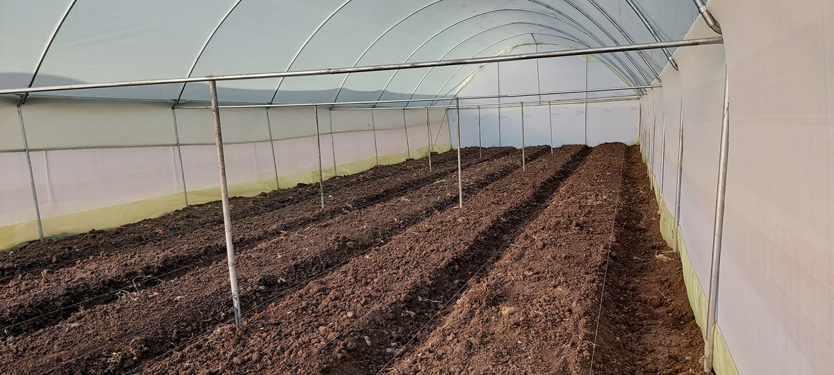 IrriHub's tweet photo. Limited offer for an 8m by 30m
Ksh 200K!
Comes with drip system and a small tank
DM or email info@irri-hub.com if interested
Retweet widely
#KOT #Zerohunger #Drip4Life https://t.co/LrumbsBvV3