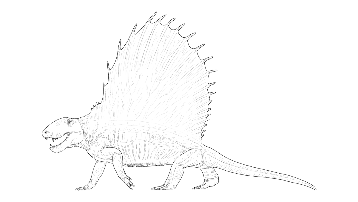 Sketchy_raptor's tweet photo. I've been told that #SynapsidWeek is/was a thing? 

I drew a Dimetrodon earlier this month so allow me to hop onto a trend last minute... https://t.co/NtqWFy6XCr