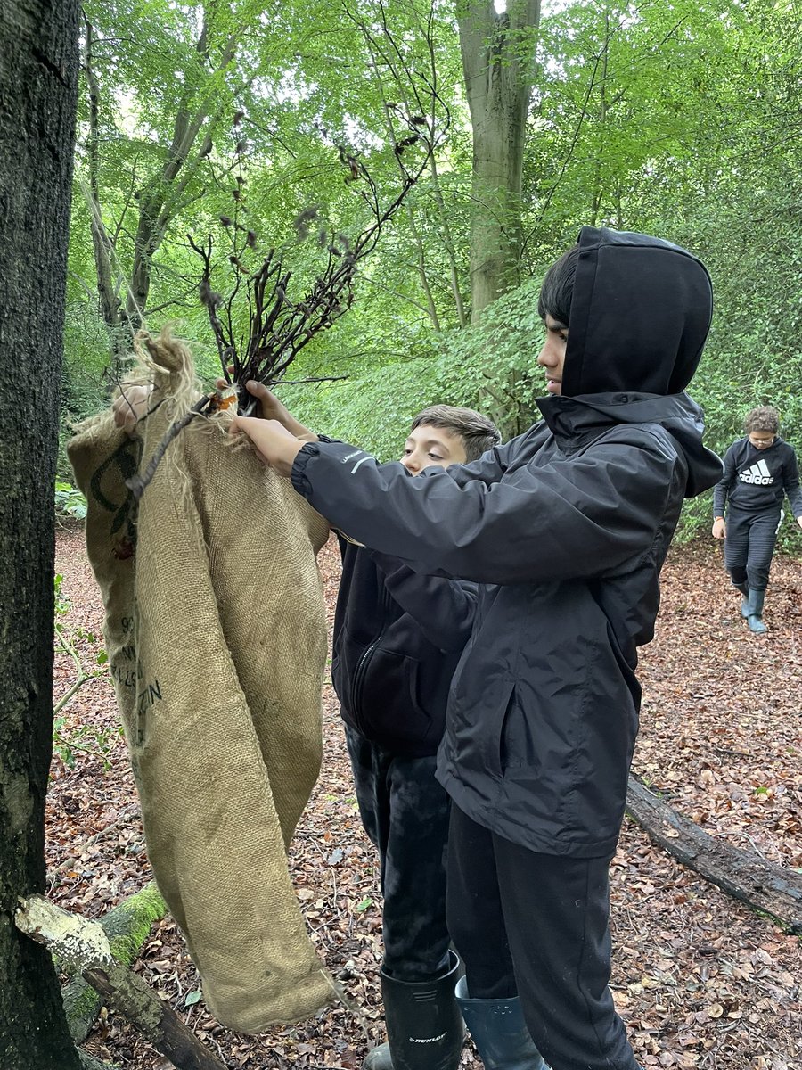 Collecting kindling to make a bonfire! This looks very promising #fingerscrossed 🔥 <a href="/woodberrydownN4/">Woodberry Down</a> @SuntrapCentre