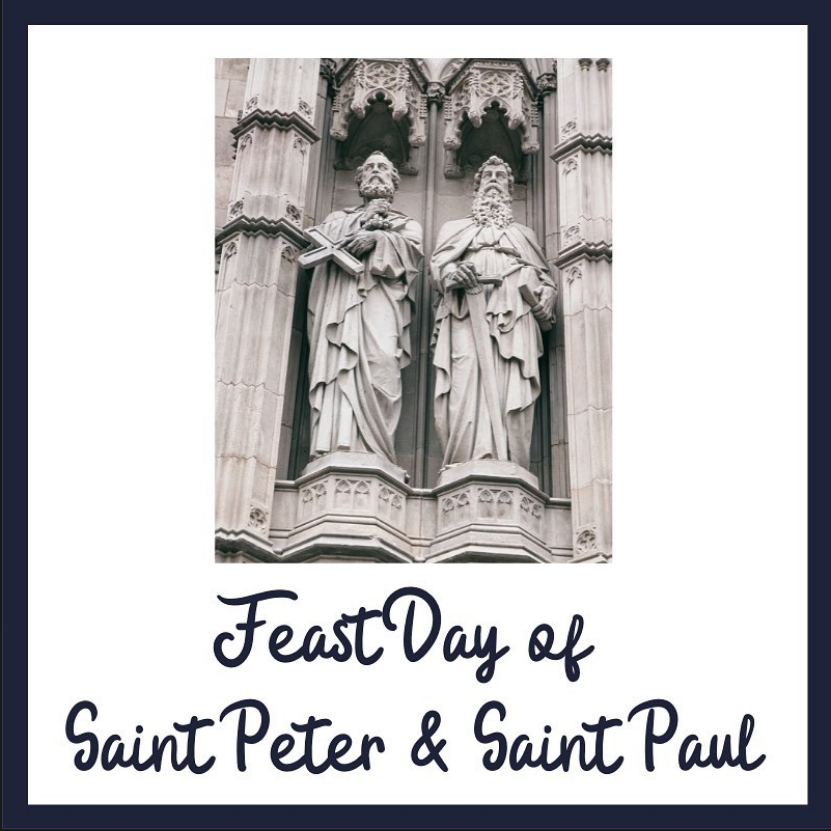 Ss Peter & Paul Catholic High School tweet media