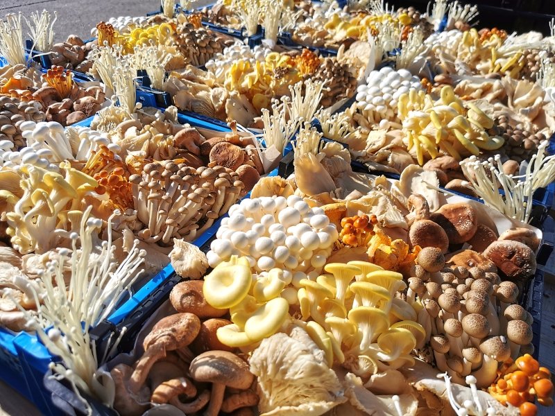 FoskersFresh's tweet photo. We wish the sun was shining today as it was on Saturday… ☀️☀️☀️

When our boss, Brandon, made all our 1KG Foskers’ Fabulous Fungi Mix’s for our customers! 🍄

#Mushrooms #Shitake #Oyster #Shemiji #Enoki #Sunshine #Boss #Fresh #Produce #Fungi #Mix https://t.co/BW2gORkcWH