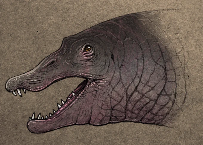 Spinosaurus 2015〜2021 