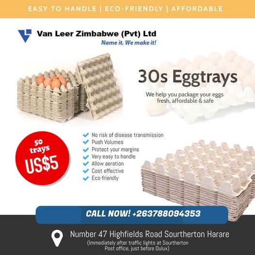 VanleerZimbabwe's tweet photo. Empty Eggtrays!!
#eggtrays #emptyeggtrays #eggboxes https://t.co/06BIMWrid9