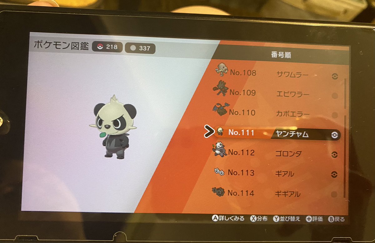ちくぱんだ Chikupoke3 تويتر ちくぱんだ Chikupoke3 تويتر