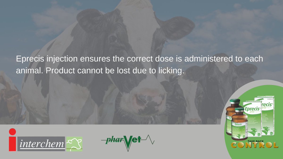 FarmingFocus's tweet photo. Studies show that cattle that had not been treated with a pour-on still had concentrations of product in their system due to licking of treated animals. As Eprecis is an injection it will not be effected by grooming. https://t.co/oCLhXsWdmt
#TakeBackControl #Eprecis https://t.co/ezSbqdRAAu