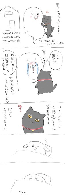 1回だけ夢にクゥちゃんでてきた 