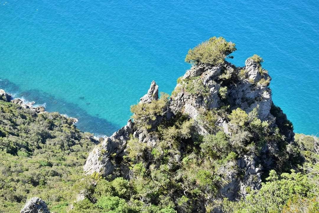_sentieri's tweet photo. Il Picco di Circe da scoprire passo dopo passo 💙 
https://t.co/gVrfW4ng1W 
.
.
#IoSonoAigae #montagna #trekking #outdoor #hiking #mountain #nofilter #guideambientaliescursionistiche @ParchiLazio @visit_lazio https://t.co/6hIvHm1m23