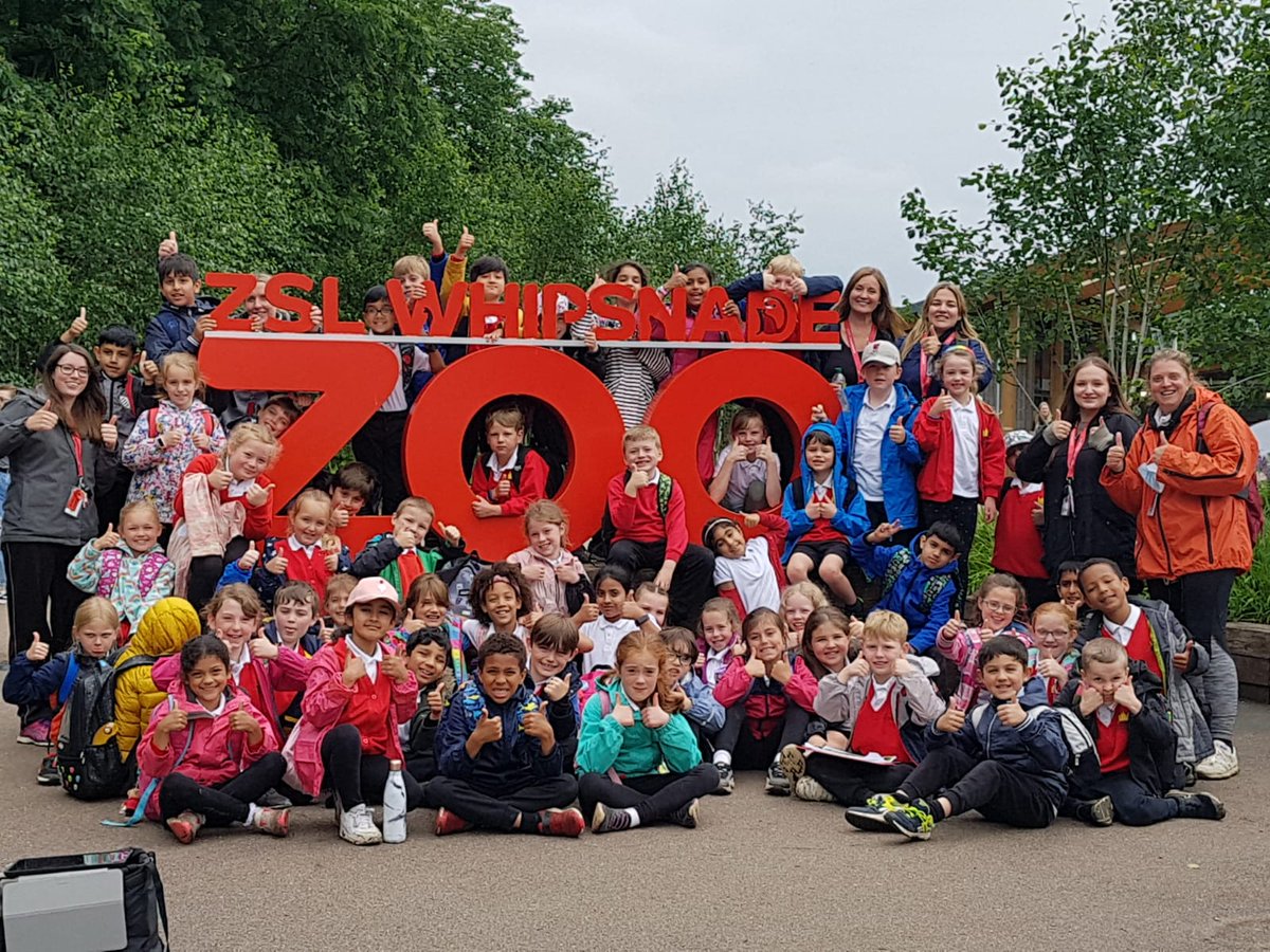 Great Kingshill School tweet media