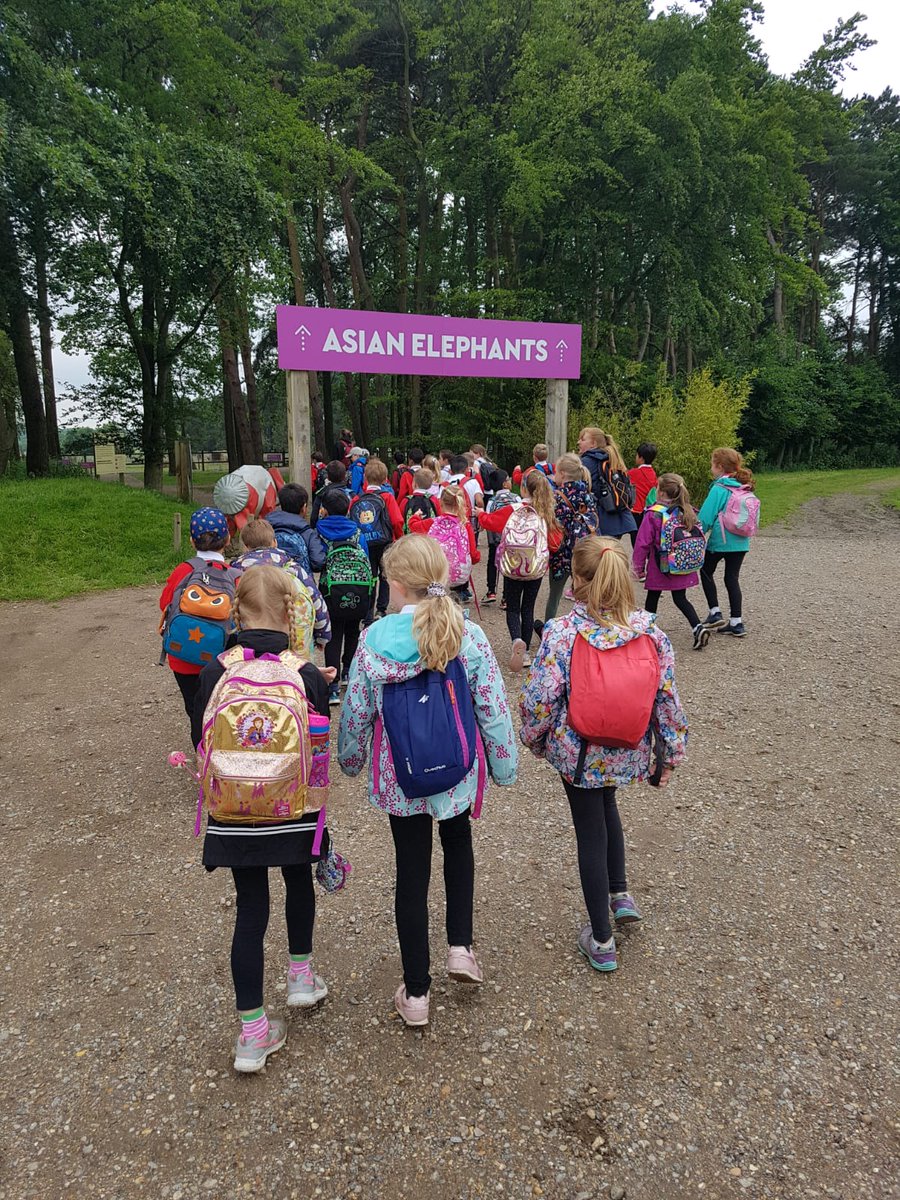 Great Kingshill School tweet media