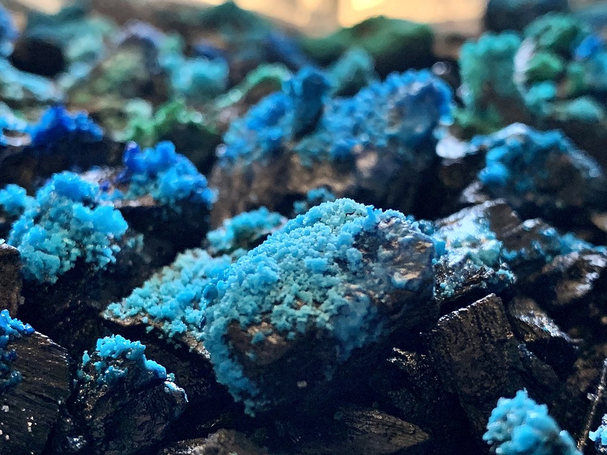 AstroLizsLab's tweet photo. Today’s #crystal growth from the first 48 hours of my #STEM #experiment using ammonia, bluing, salt and charcoal! The solution had been fully absorbed by the charcoal so I topped it up today. Should see even more impressive results tomorrow! #astrolizslab #astroliz #femmesinstem https://t.co/GOR2Co2tcq