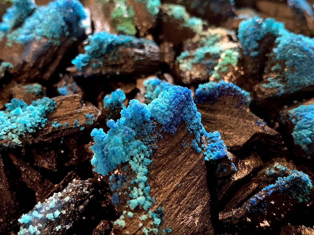 AstroLizsLab's tweet photo. Today’s #crystal growth from the first 48 hours of my #STEM #experiment using ammonia, bluing, salt and charcoal! The solution had been fully absorbed by the charcoal so I topped it up today. Should see even more impressive results tomorrow! #astrolizslab #astroliz #femmesinstem https://t.co/GOR2Co2tcq